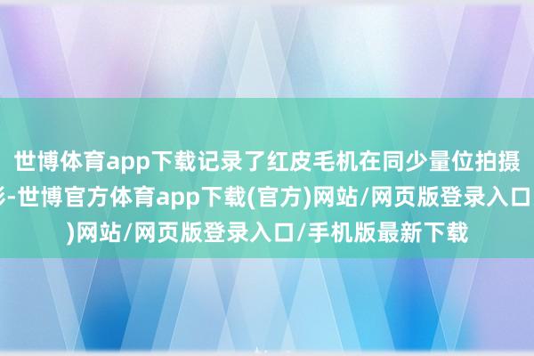 世博体育app下载记录了红皮毛机在同少量位拍摄到9种动物的身影-世博官方体育app下载(官方)网站/网页版登录入口/手机版最新下载