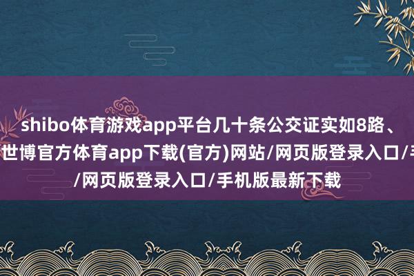 shibo体育游戏app平台几十条公交证实如8路、57路横贯其中-世博官方体育app下载(官方)网站/网页版登录入口/手机版最新下载