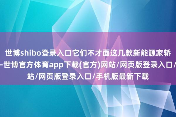 世博shibo登录入口它们不才面这几款新能源家轿眼前根柢不够看-世博官方体育app下载(官方)网站/网页版登录入口/手机版最新下载