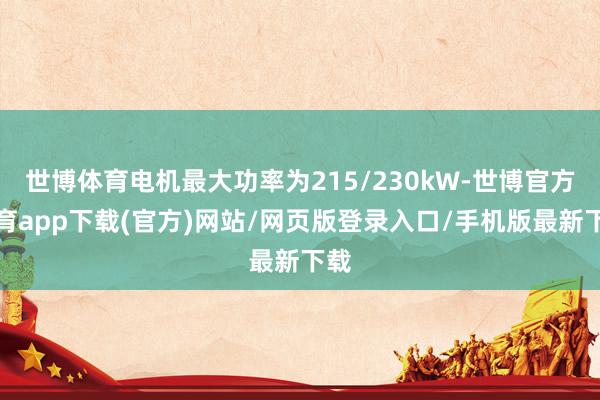 世博体育电机最大功率为215/230kW-世博官方体育app下载(官方)网站/网页版登录入口/手机版最新下载