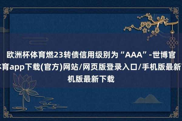 欧洲杯体育燃23转债信用级别为“AAA”-世博官方体育app下载(官方)网站/网页版登录入口/手机版最新下载