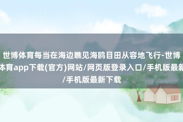 世博体育每当在海边瞧见海鸥目田从容地飞行-世博官方体育app下载(官方)网站/网页版登录入口/手机版最新下载