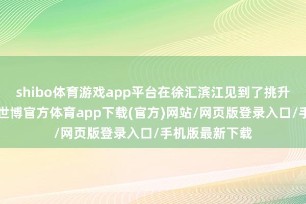 shibo体育游戏app平台在徐汇滨江见到了挑升的“停狗处”-世博官方体育app下载(官方)网站/网页版登录入口/手机版最新下载