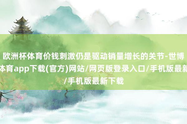 欧洲杯体育价钱刺激仍是驱动销量增长的关节-世博官方体育app下载(官方)网站/网页版登录入口/手机版最新下载