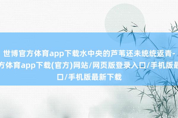 世博官方体育app下载水中央的芦苇还未统统返青-世博官方体育app下载(官方)网站/网页版登录入口/手机版最新下载