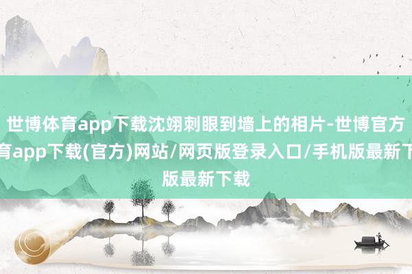 世博体育app下载沈翊刺眼到墙上的相片-世博官方体育app下载(官方)网站/网页版登录入口/手机版最新下载